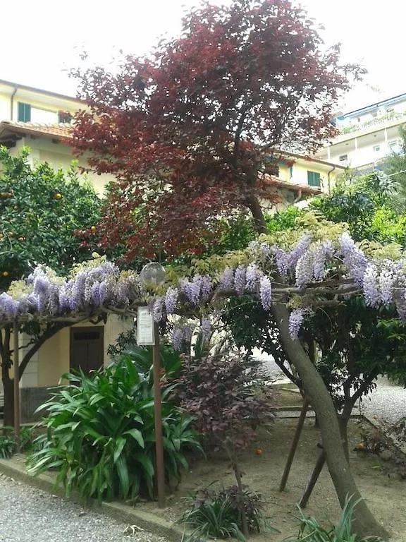 ** Hotel Albergo Fiorenza&Banksia Meublè Alassio Italien